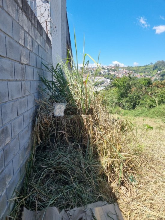 terreno-venda-jardim-california-barueri-sp--583445