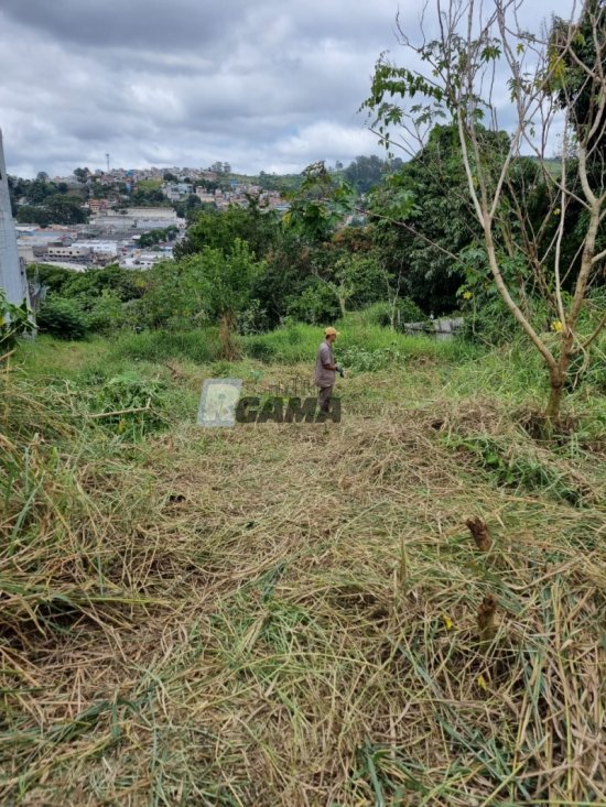 terreno-venda-jardim-california-barueri-sp--583452